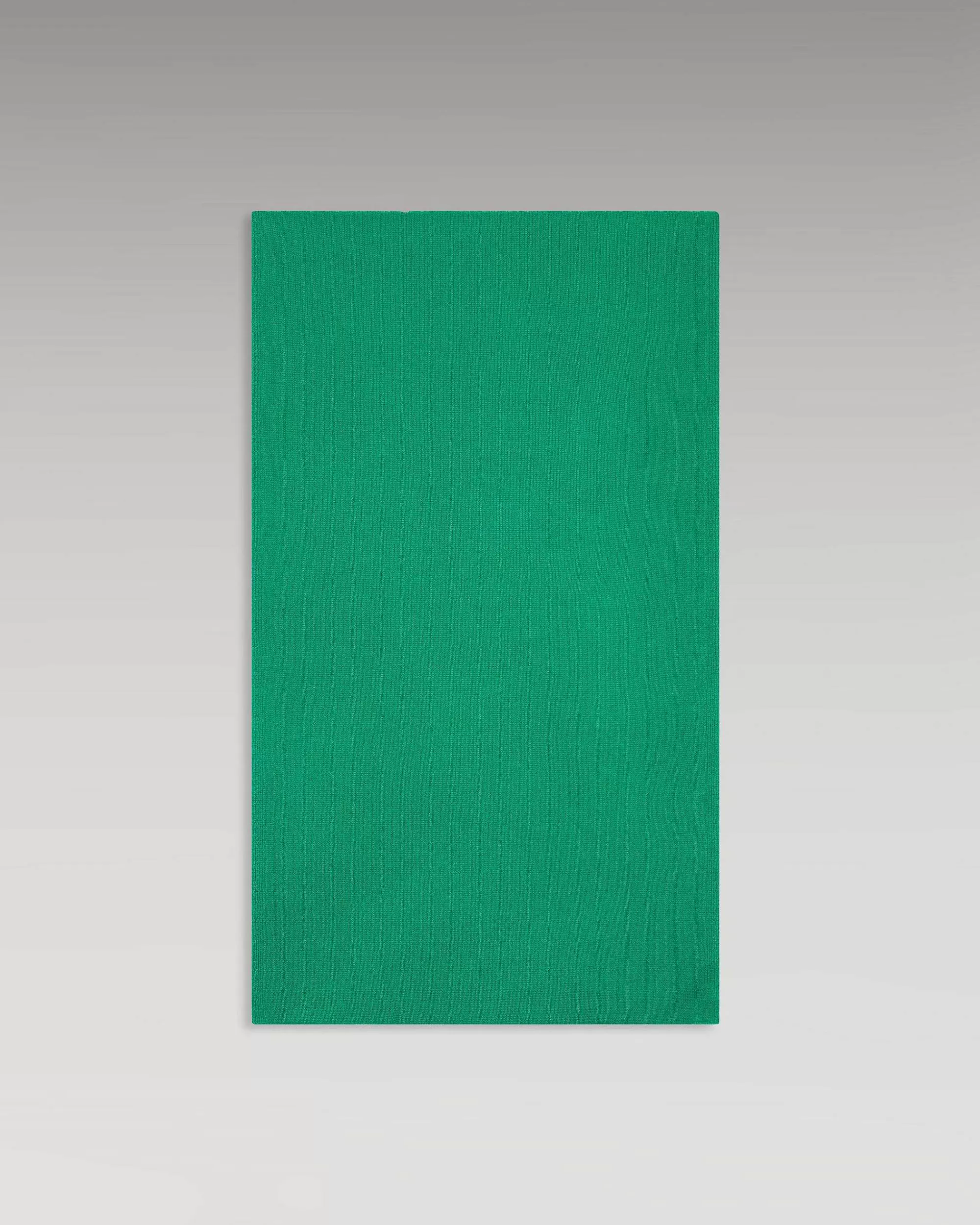 Best FROM FUTURE Echarpe Regular Basique Winter Green