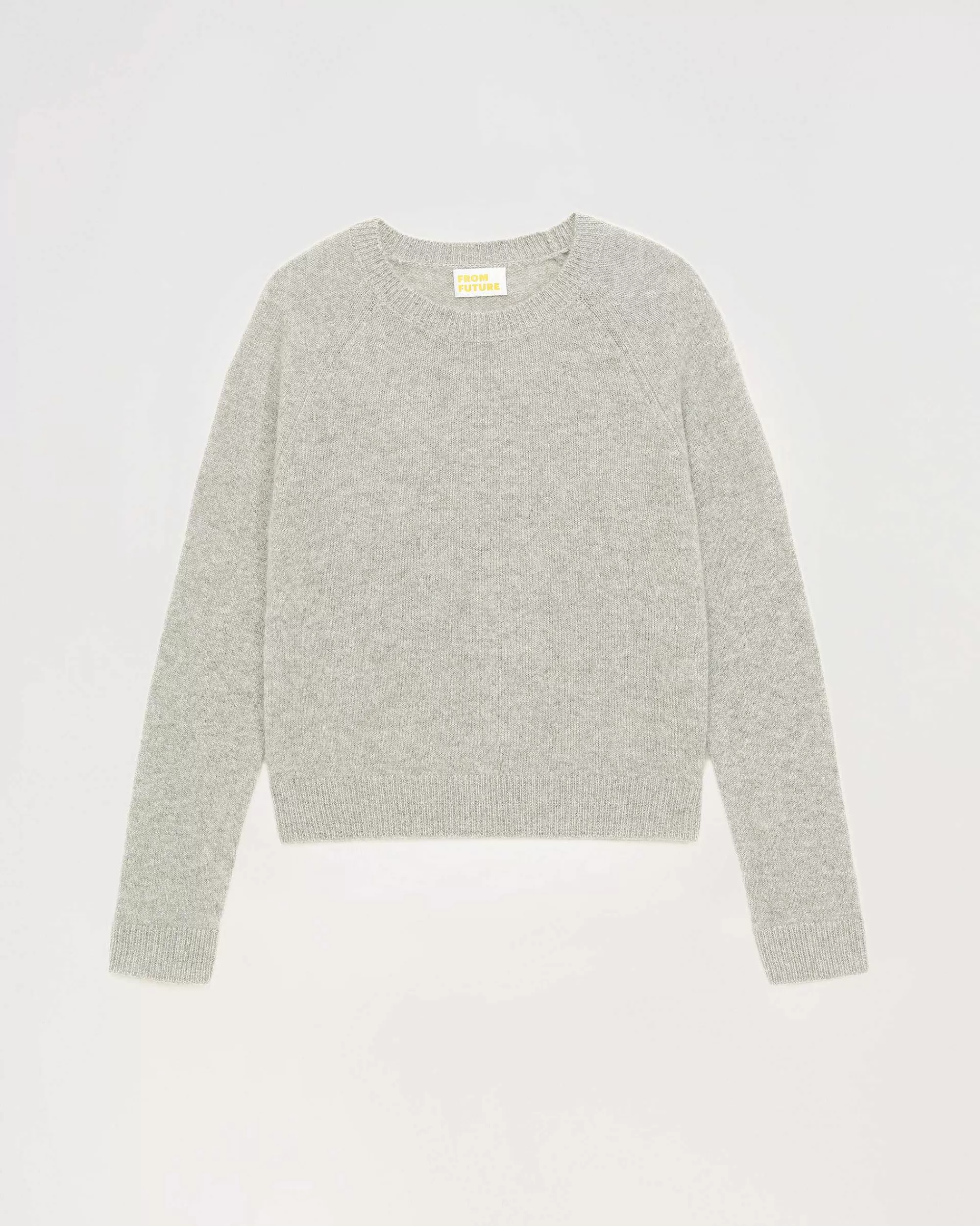 Online FROM FUTURE Pull Col Rond Leger